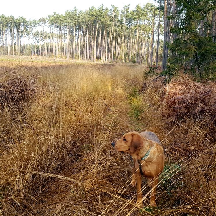 20191120_125653.jpg