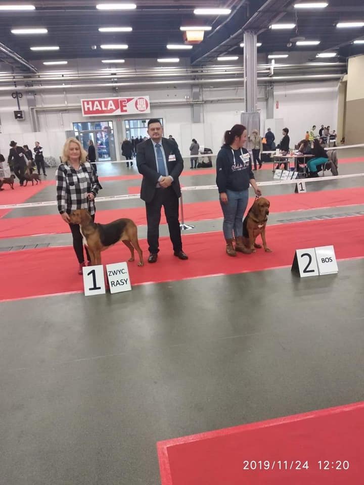 74607580_738751353294059_5635088858623246336_n.jpg