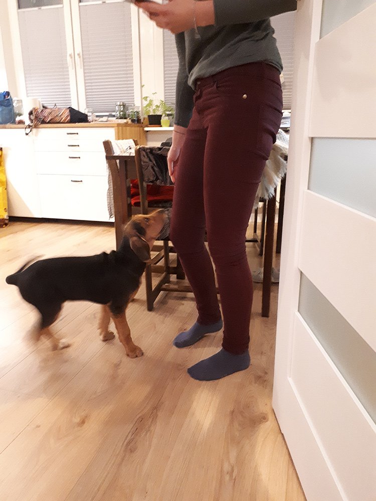 20191130_190418.jpg