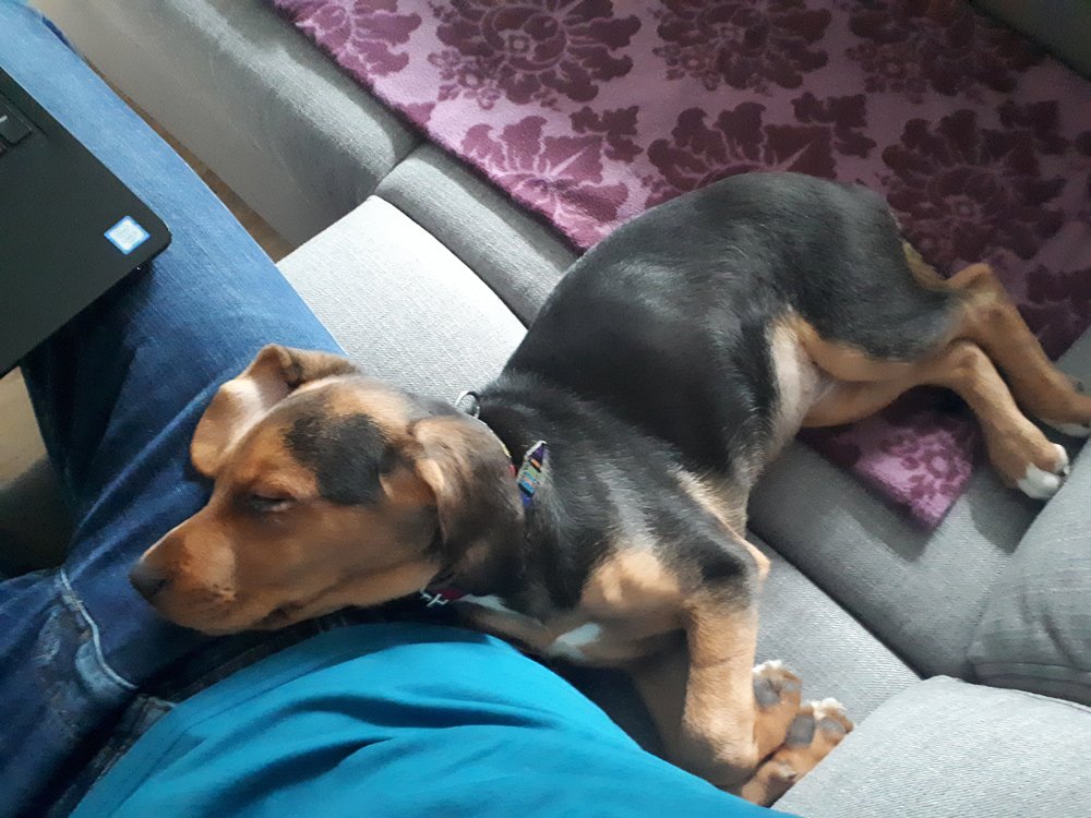 20191201_100519.jpg