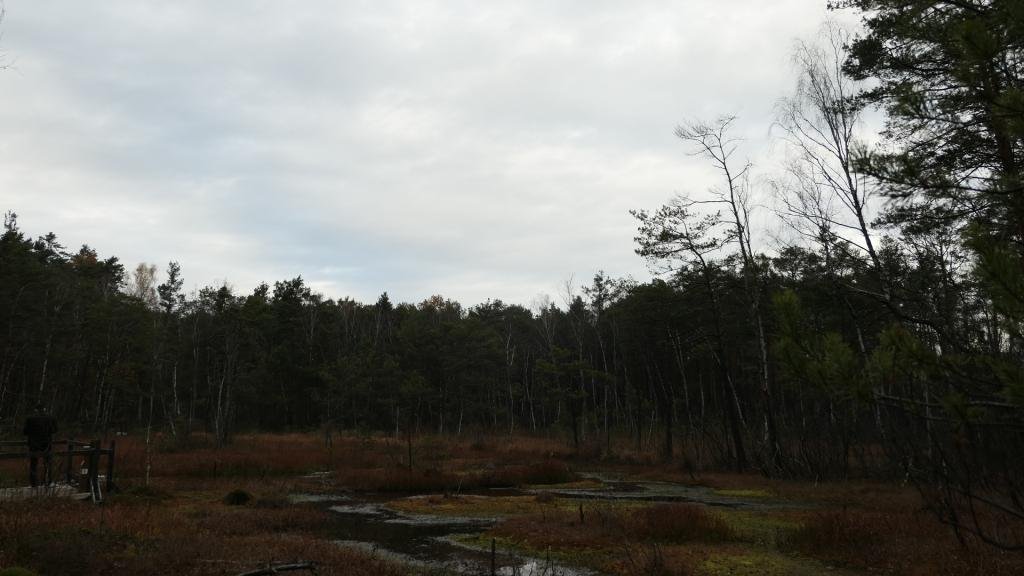 P1030419m.JPG