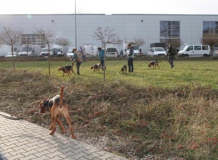 Zaogarzony Lublin...
