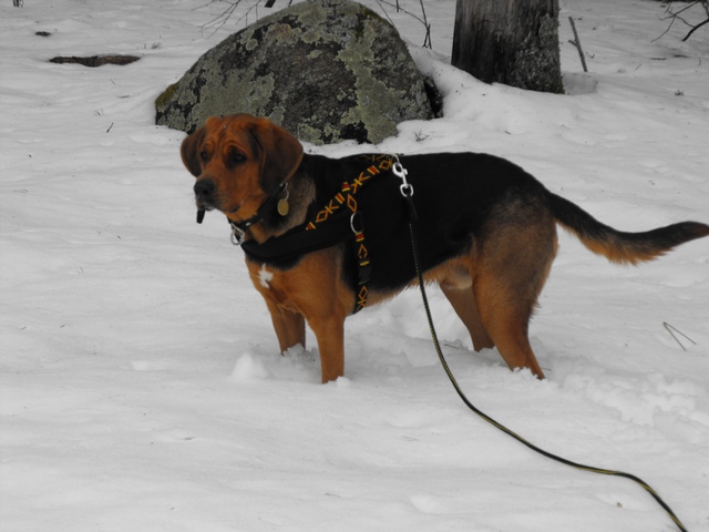 DSCF5520.JPG