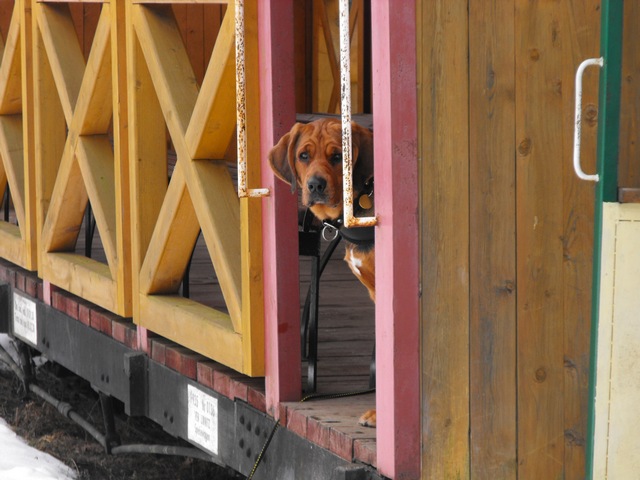 DSCF5527.JPG