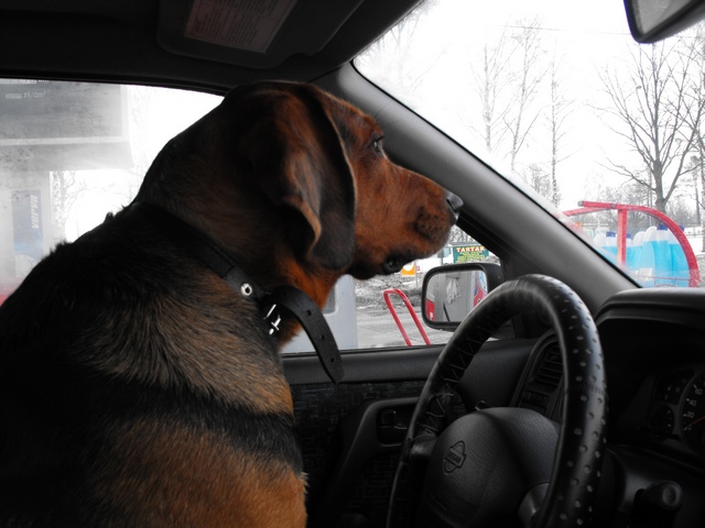 DSCF5548.JPG