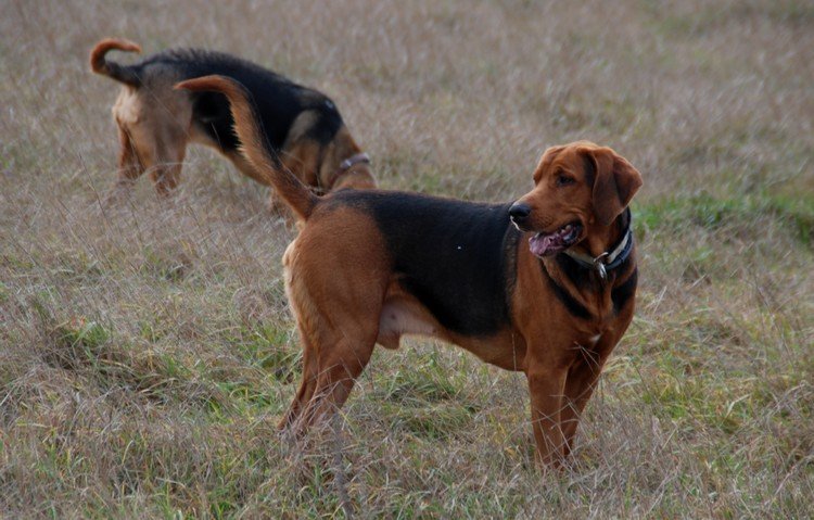 DSC_9082.JPG