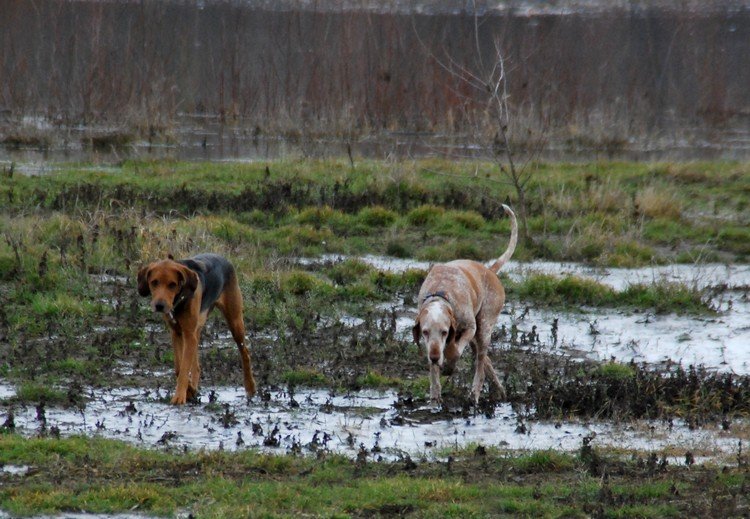 DSC_9182.JPG