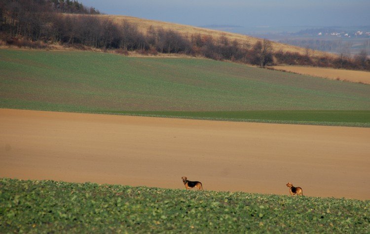To są te przestrzenie, które uwielbiamy!