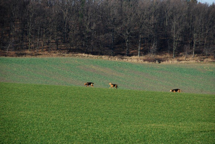 DSC_9219.JPG