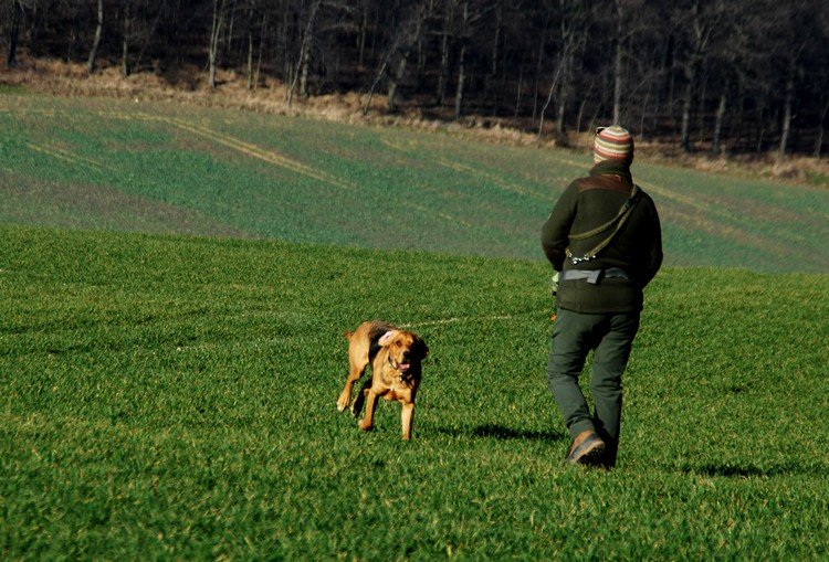 Przywołanie Fatra ma niezłe...