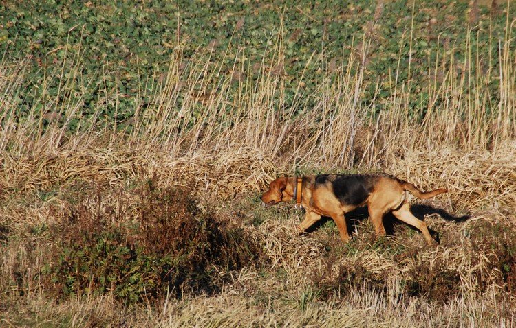 DSC_9235.JPG
