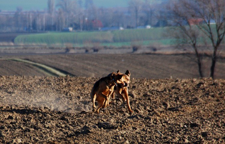 DSC_9261.JPG