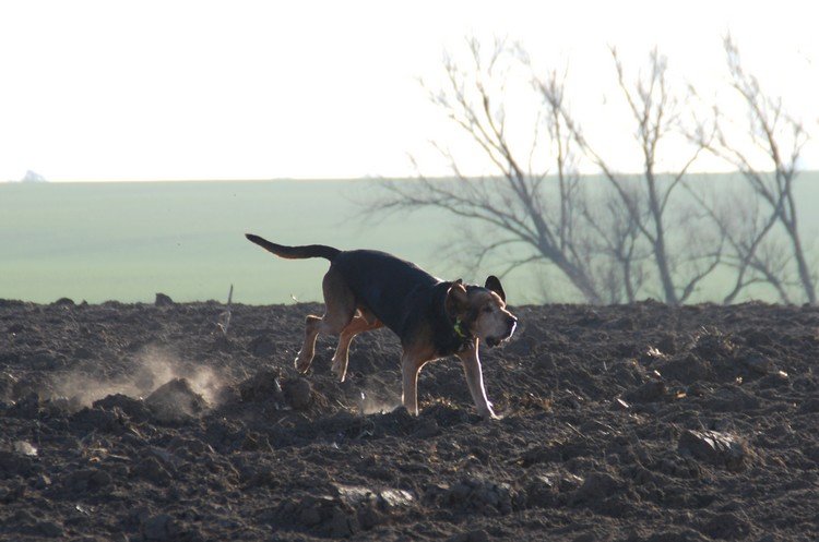 DSC_9266.JPG
