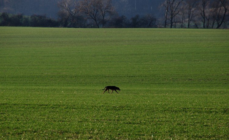 DSC_9277.JPG