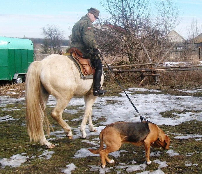 Łycar 052.jpg