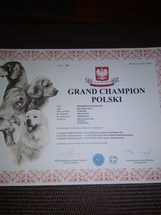 Dwururka GrandCh.jpg