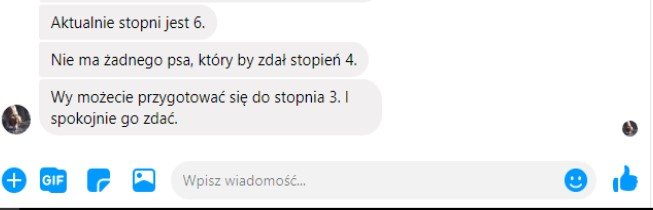 Opinia o pracy Forda.jpg