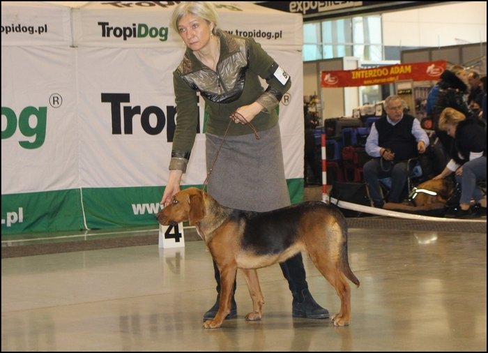 KAMA z Laborówki