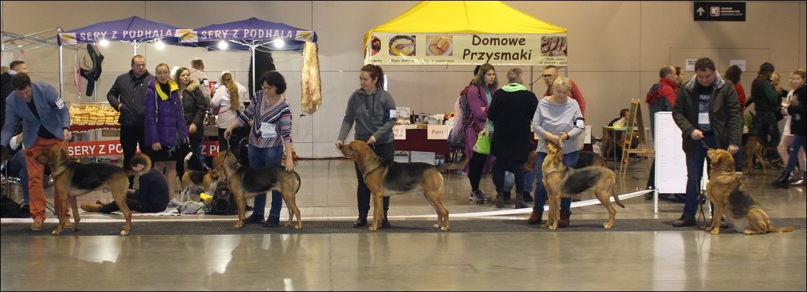 porownanie_002.jpg