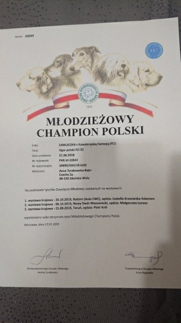 SAVE_20200129_201732.jpg