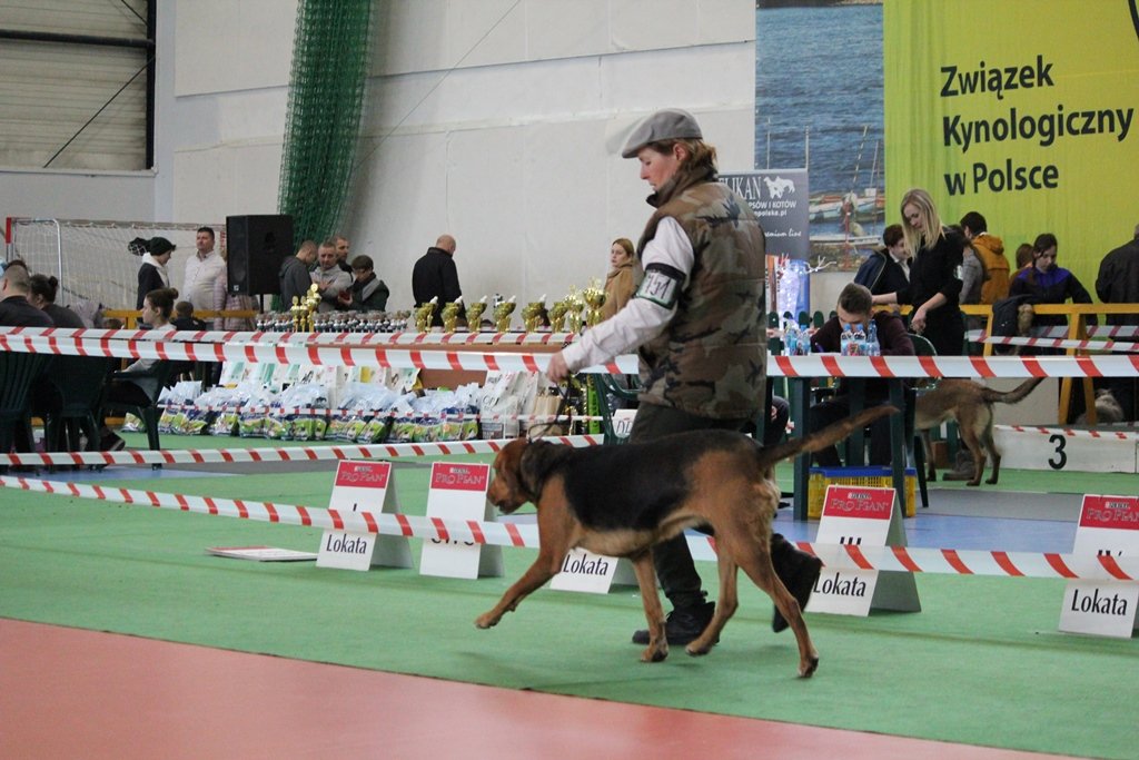 Gaja Warkuta.JPG