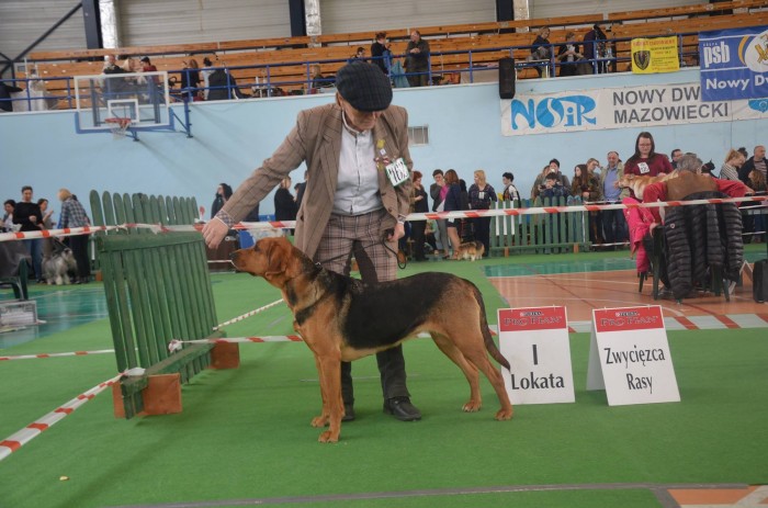 Nadzieja Sfora Nestora