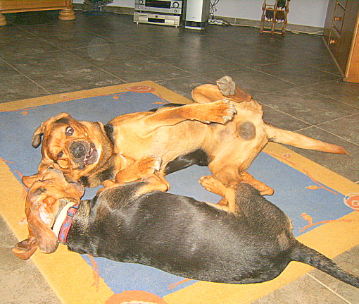 KUSY I SZAFIR 28 LUTY 2010 005.jpg
