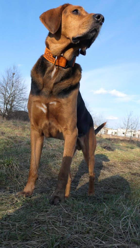 Trzeba być czujnym...