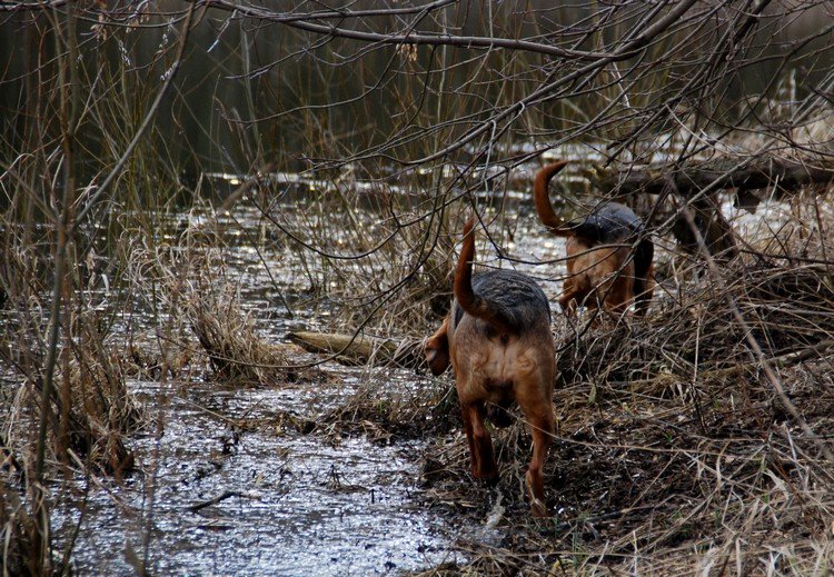 DSC_9559.JPG