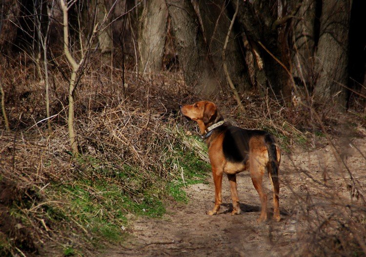 DSC_9568.JPG