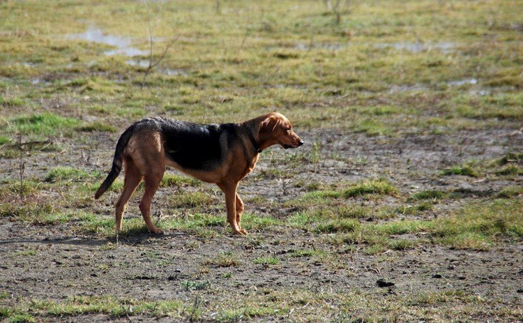 DSC_9571.JPG