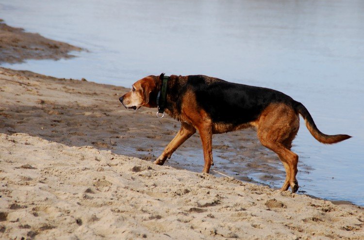 DSC_9577.JPG