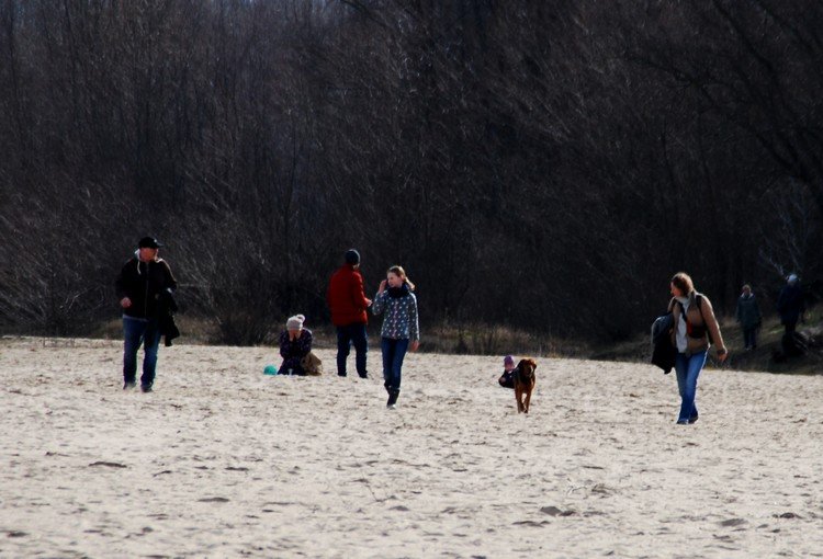 Nadciągają posiłki :)