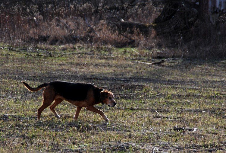 DSC_9615.JPG