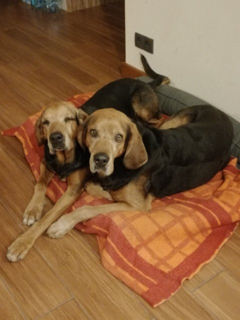 image000000.jpg