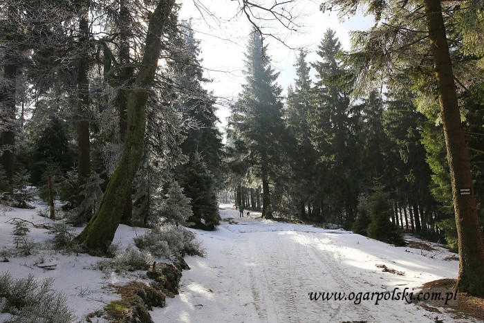 małe-IMG_9416.jpg