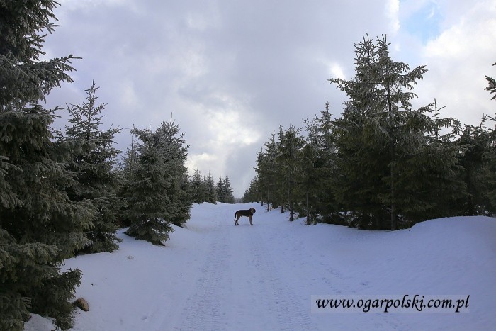 małe-IMG_9417.jpg