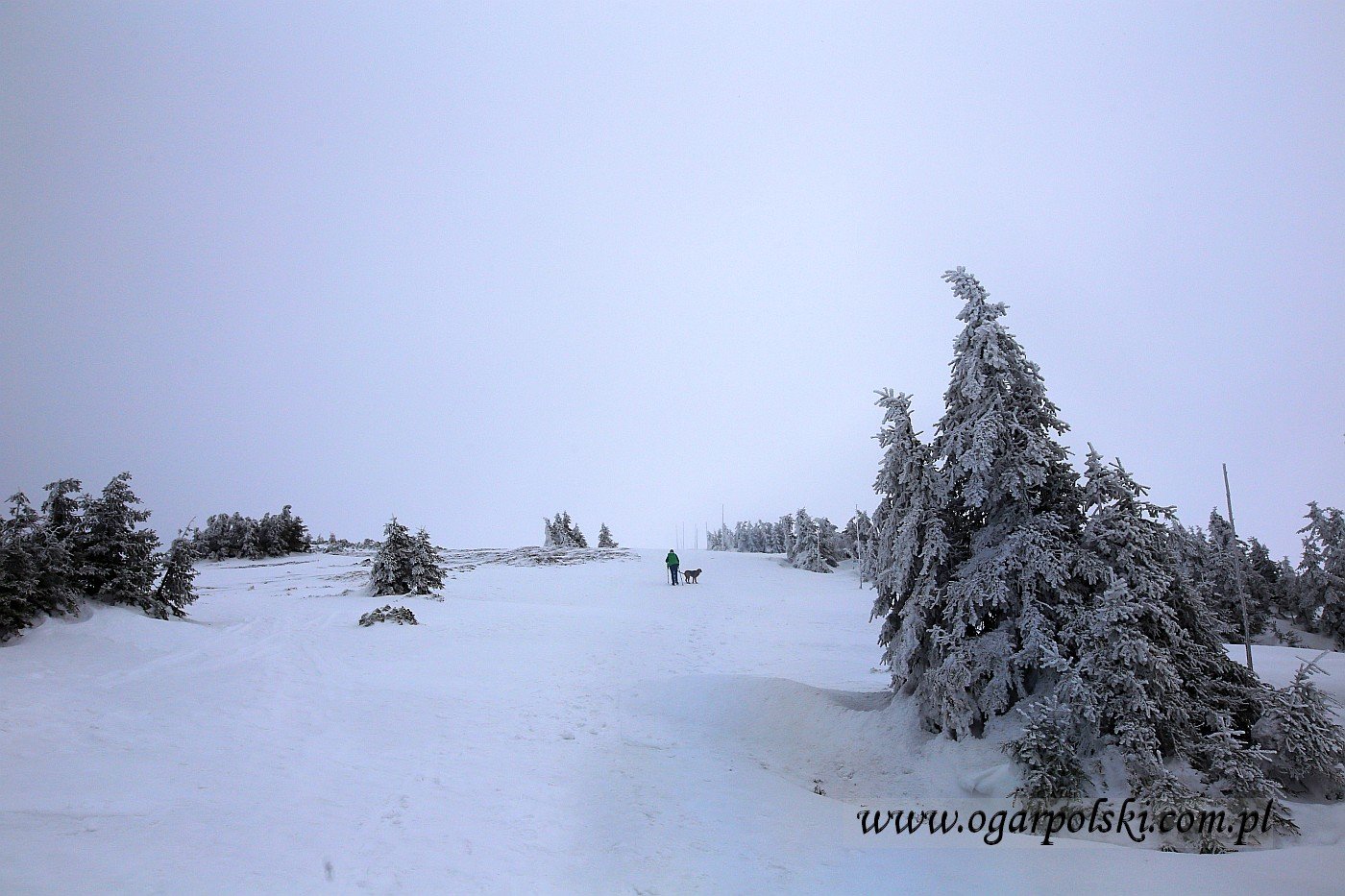 małe-IMG_9460.jpg