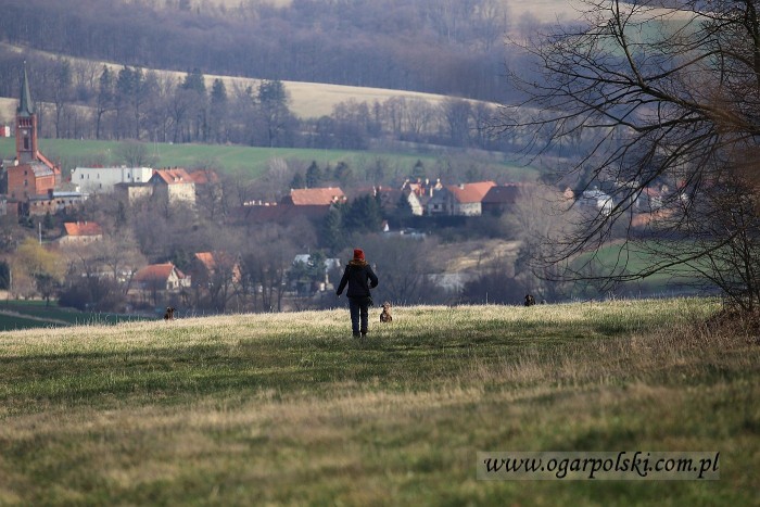 6 jamników na mojej łące  - poszły na stogi ;).