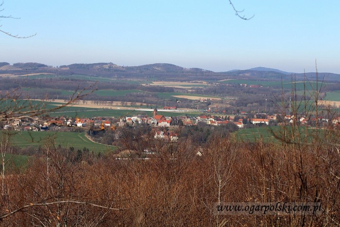 Panorama Niemczy od wschodniej strony.