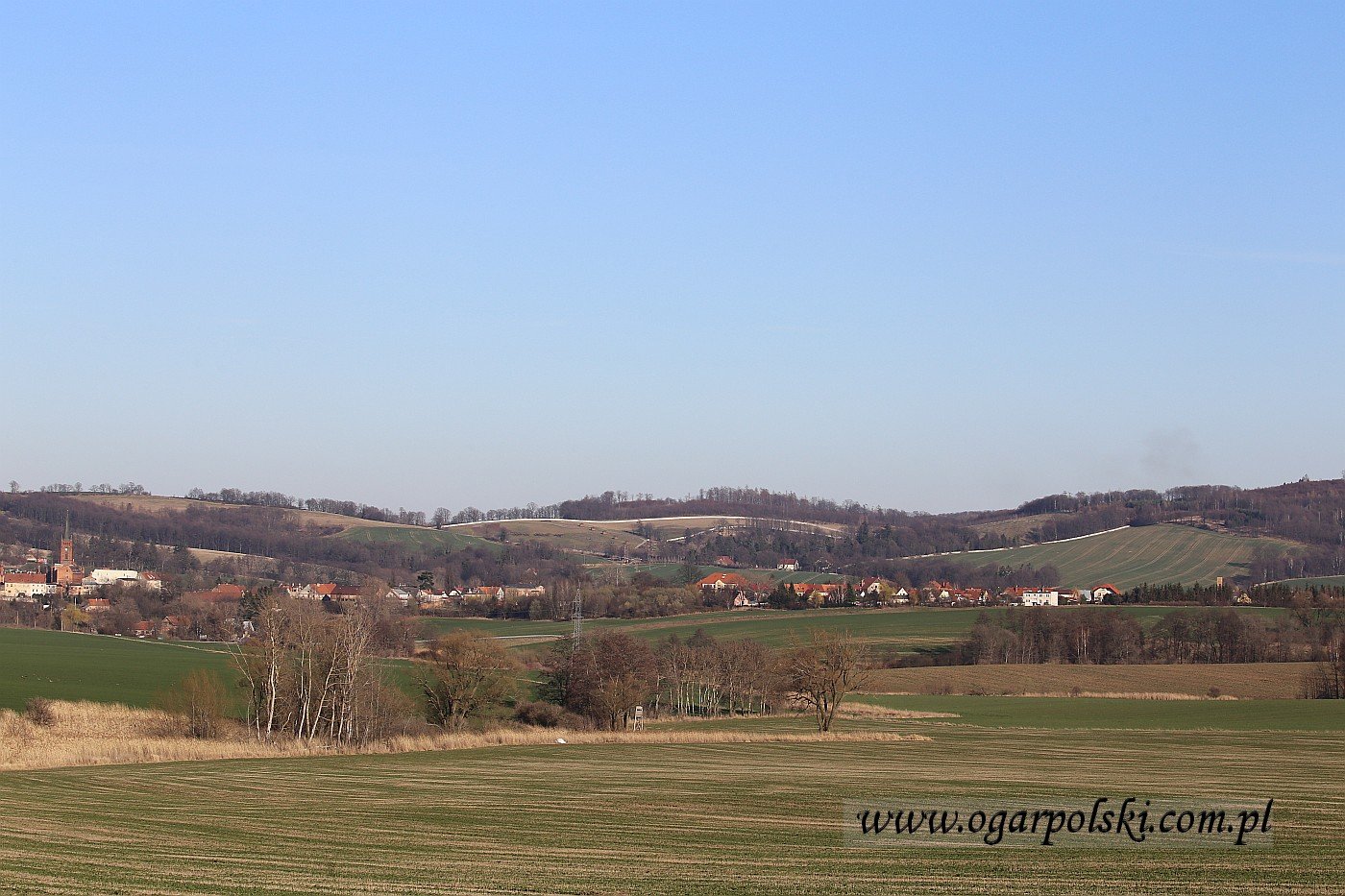 Panorama Niemczy od strony zachodniej.