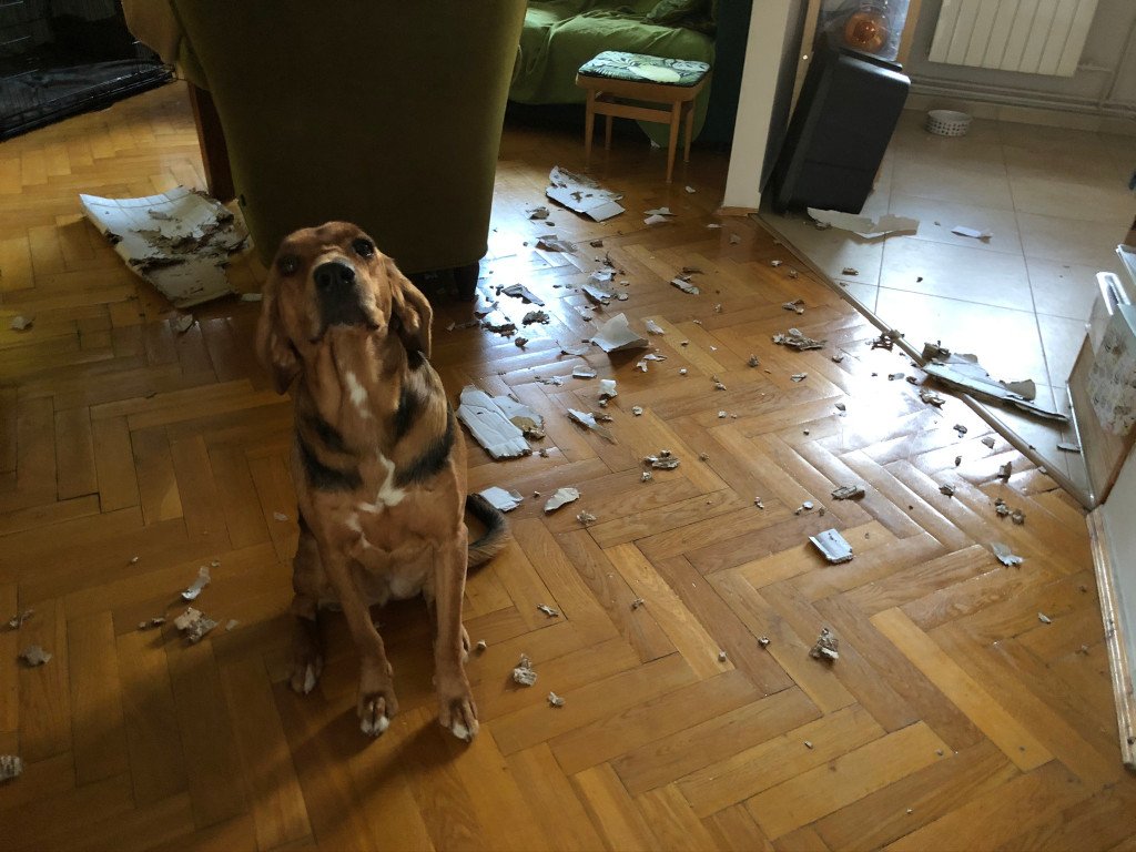 Zabawa z pudełkiem