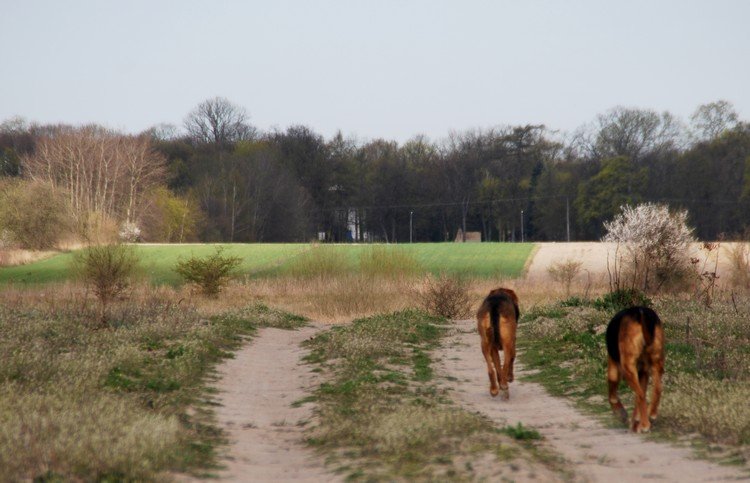 DSC_9761.JPG