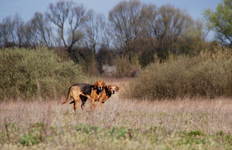 DSC_9763.JPG