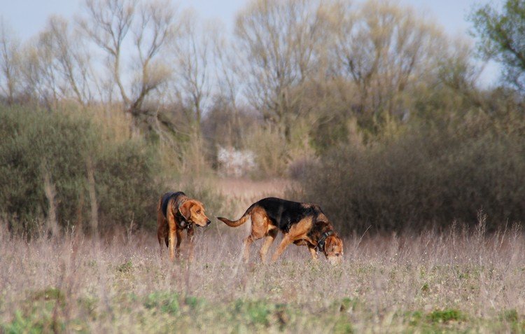 DSC_9765.JPG