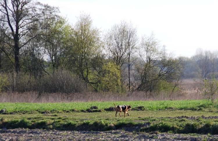 DSC_9829.JPG