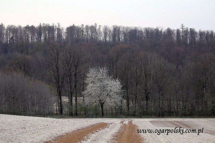 małe-IMG_0401.jpg