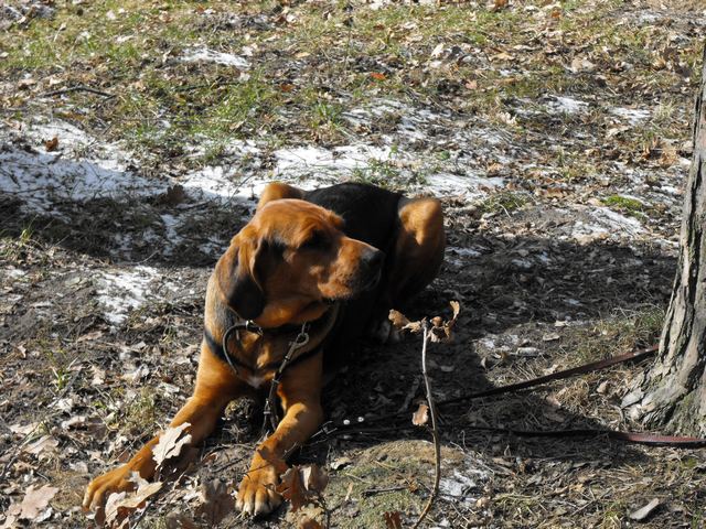 DSCF5076.JPG