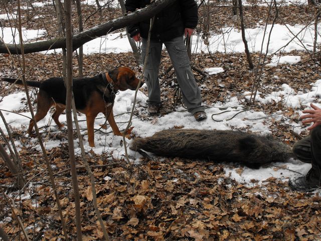 DSCF5083.JPG