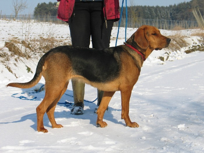 176_7609.JPG